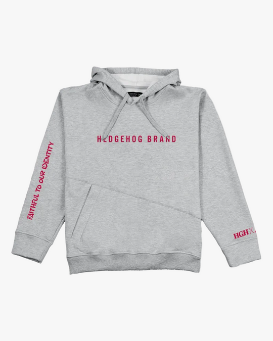 Hoodie Grey Authentic A30 Edición Limitada