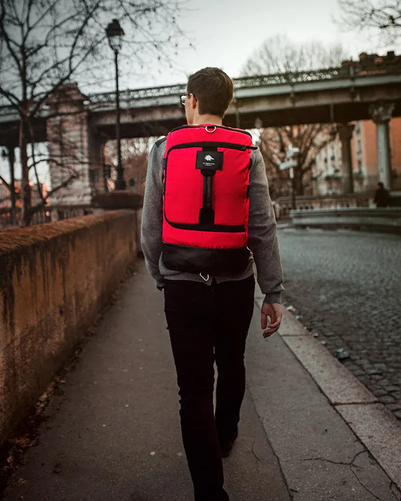 Mochila Hedgehog para viajar