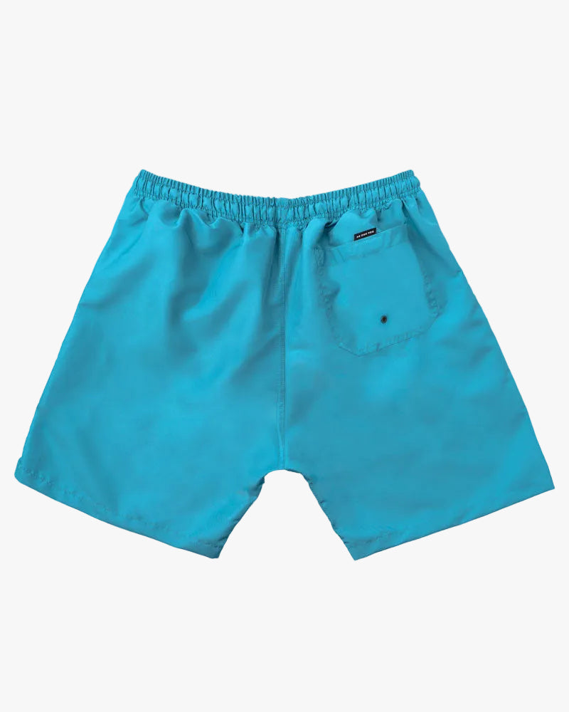 Swim Shorts Trunks Aqua