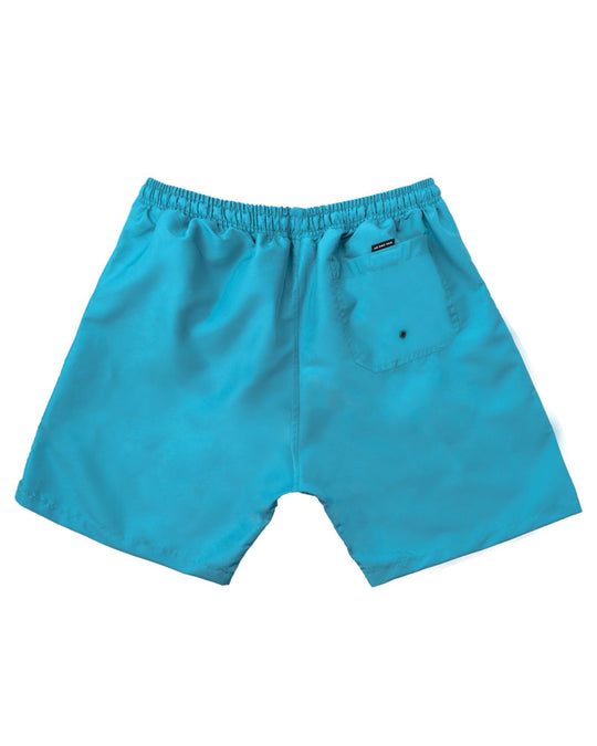Swim Shorts Trunks Aqua